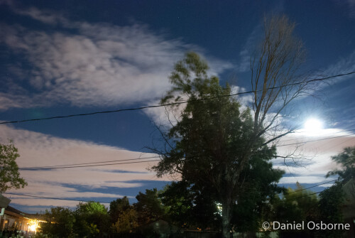 DSC_4821.jpeg